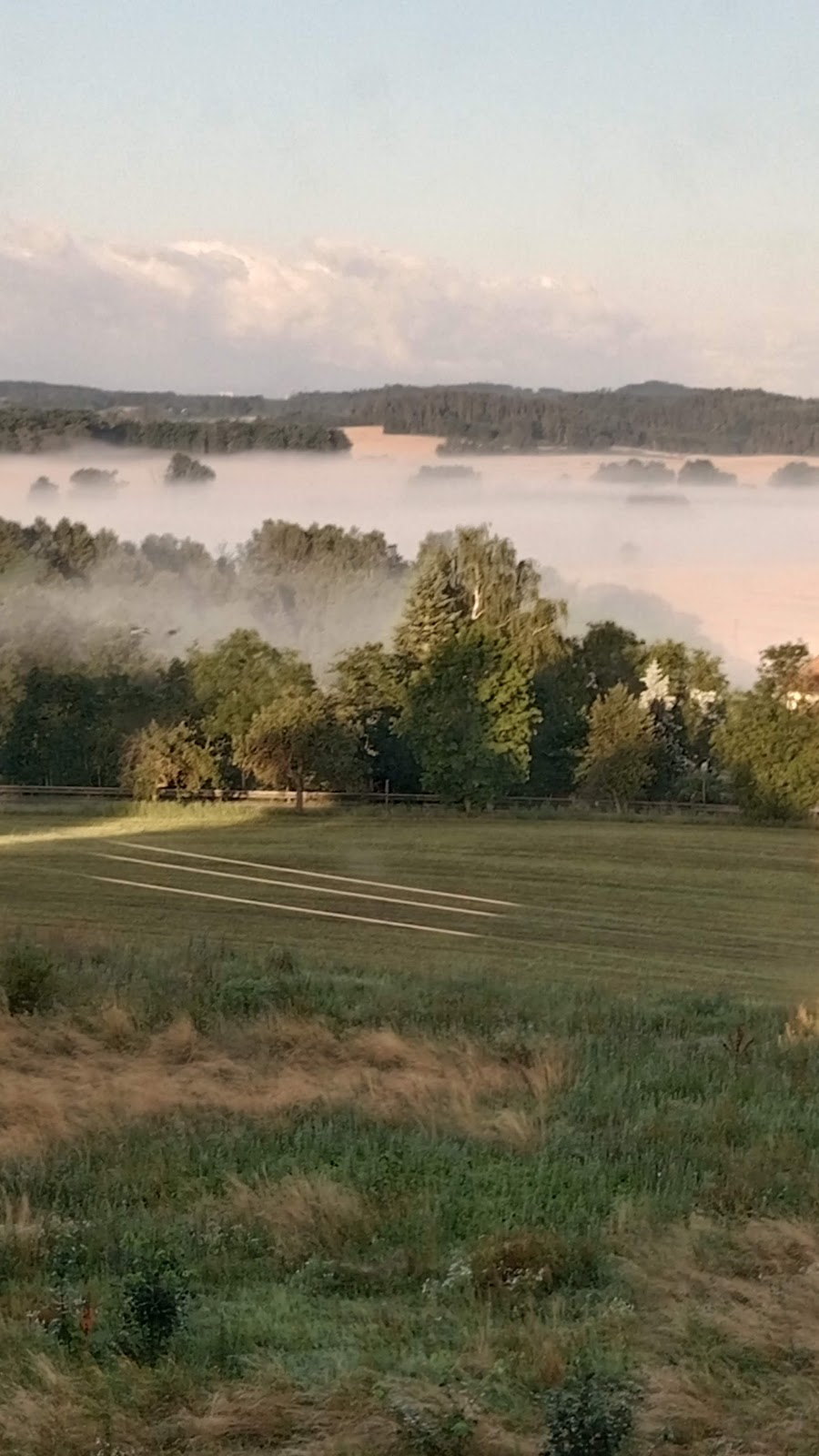 Lnáře, Psychiatrická léčebna - foto 9