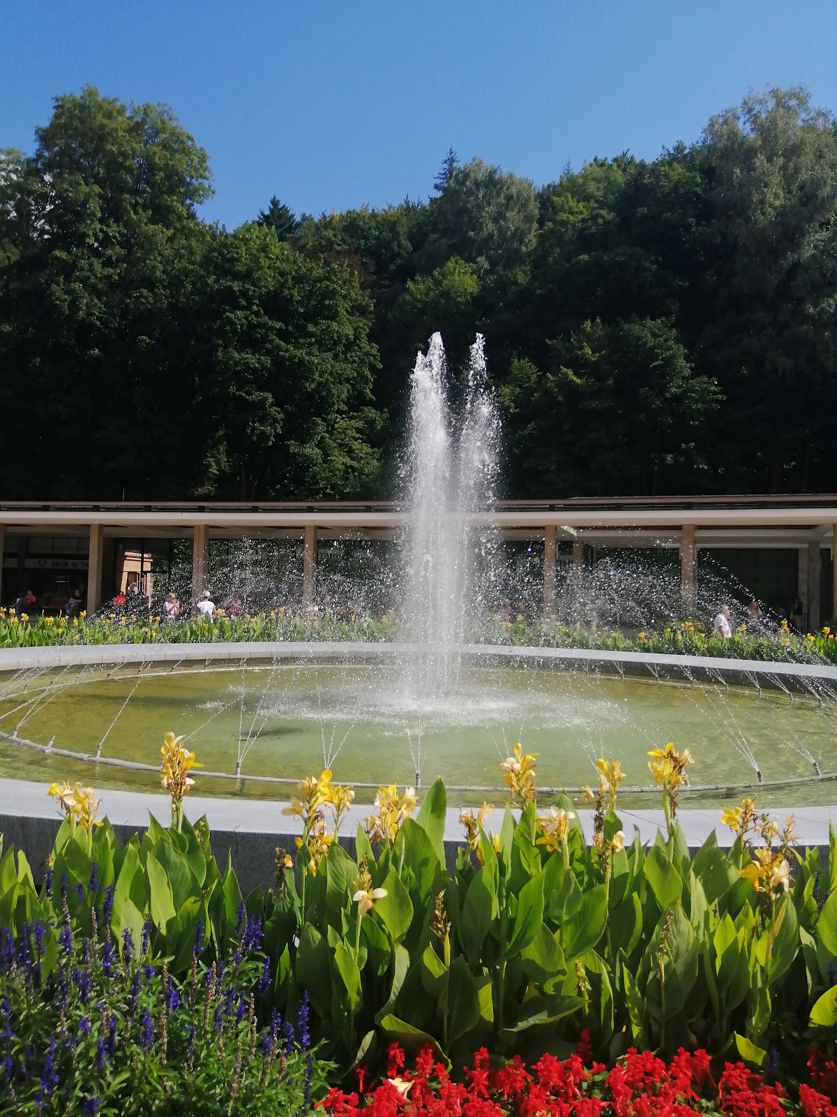 Luhačovice, Místní protidrogový koordinátor - foto 7