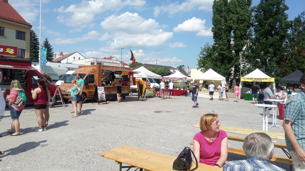 Lysá nad Labem, Místní protidrogový koordinátor - foto 4