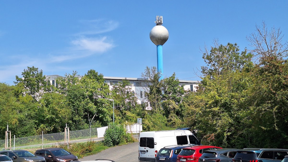 Národní ústav duševního zdraví - foto 5