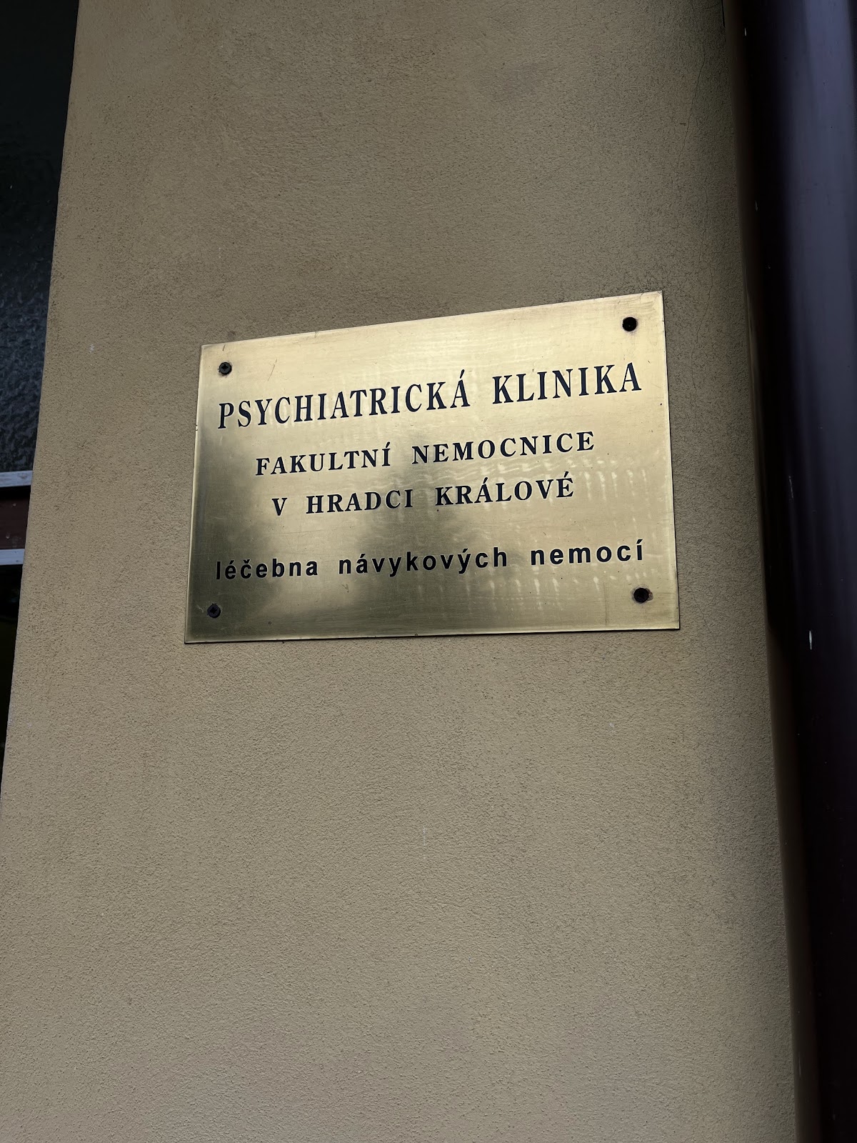 Nechanice, Léčebna návykových nemocí - foto 5