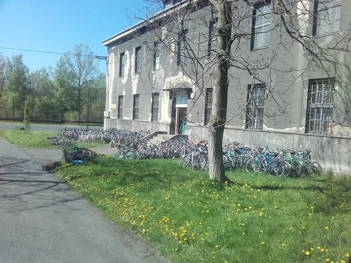 Nová možnost, z. ú. - foto 5