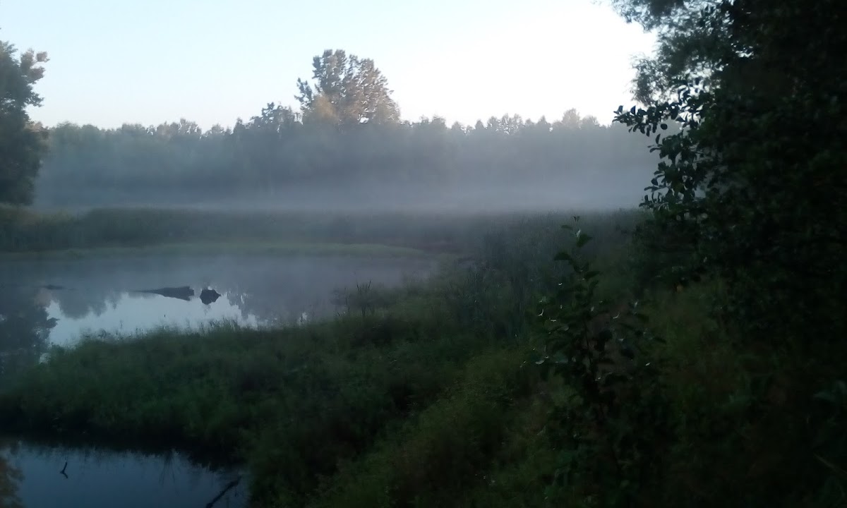 Nová možnost, z. ú. - foto 6
