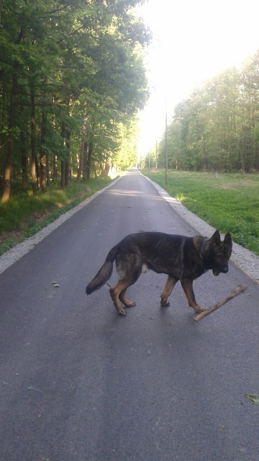 Nová možnost, z. ú. - foto 8