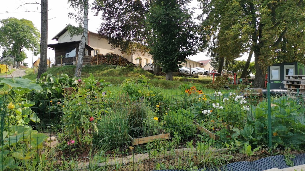 Nová Paka, Místní protidrogový koordinátor - foto 8