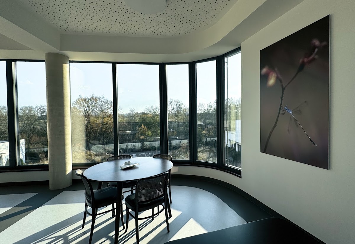 Novus Pons s.r.o., Psychiatrická léčebna Doubravčice - foto 5