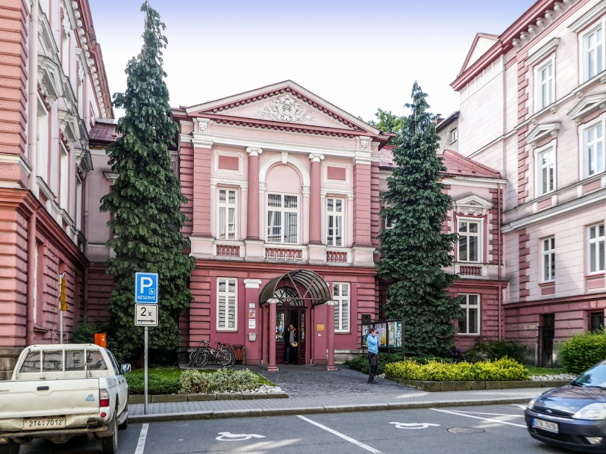 Nový Jičín, Místní protidrogový koordinátor - Nový Jičín