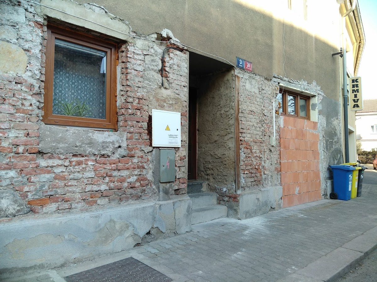 Občanské sdružení Romano Dives - foto 2