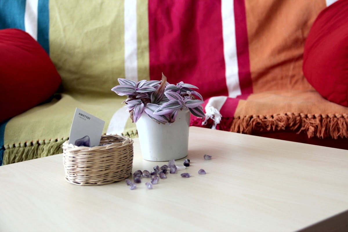 Olomouc, Adiktologická ambulance prevence a léčby závislostí - foto 3