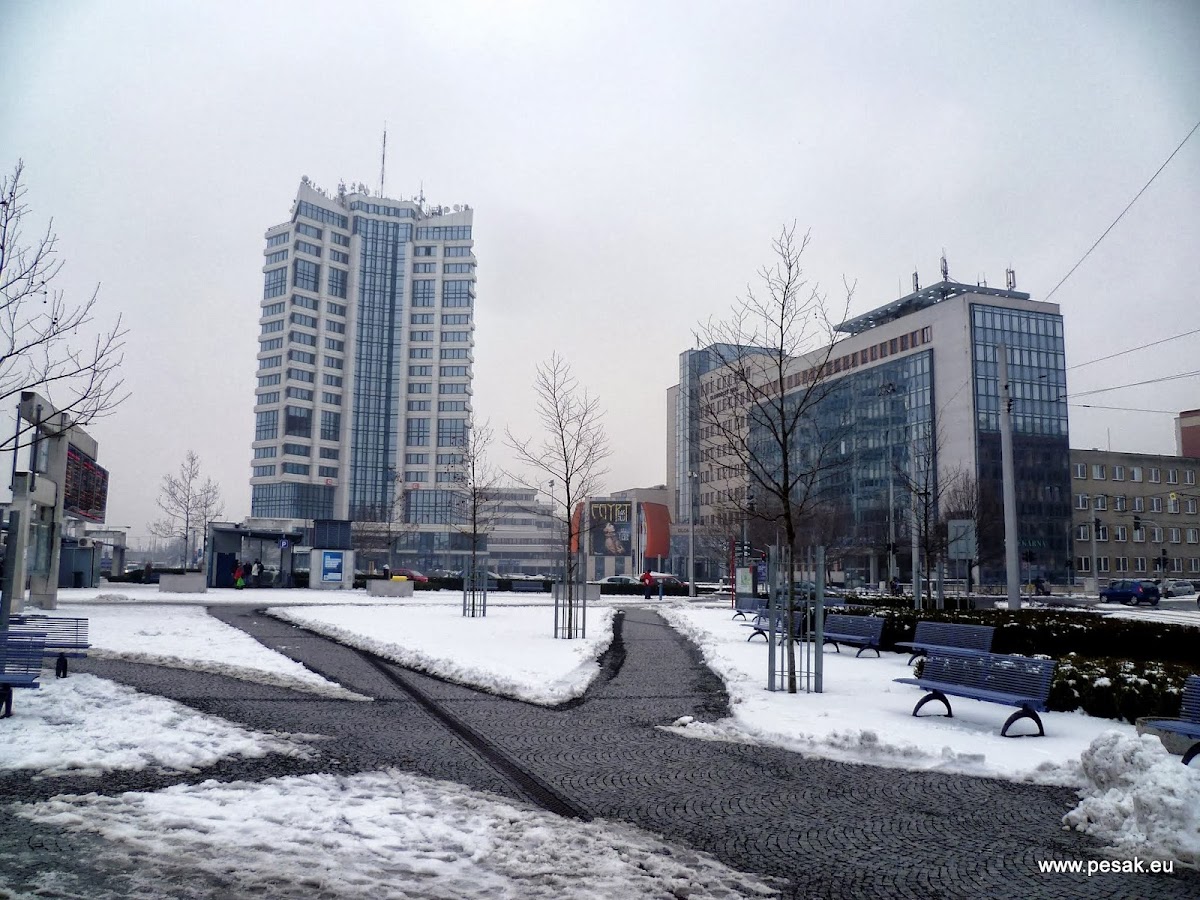 Olomouc, Krajský školský koordinátor prevence - foto 4