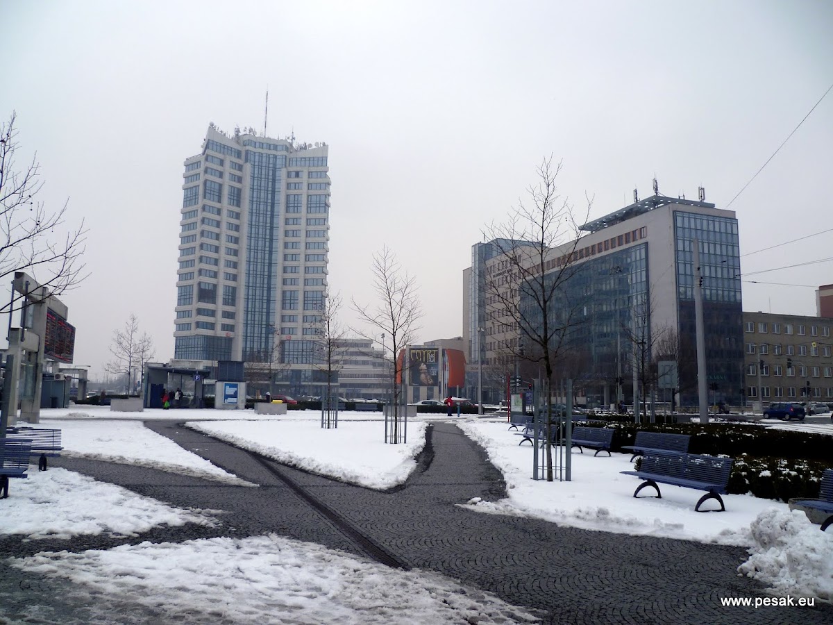 Olomouc, Krajský školský koordinátor prevence - foto 8