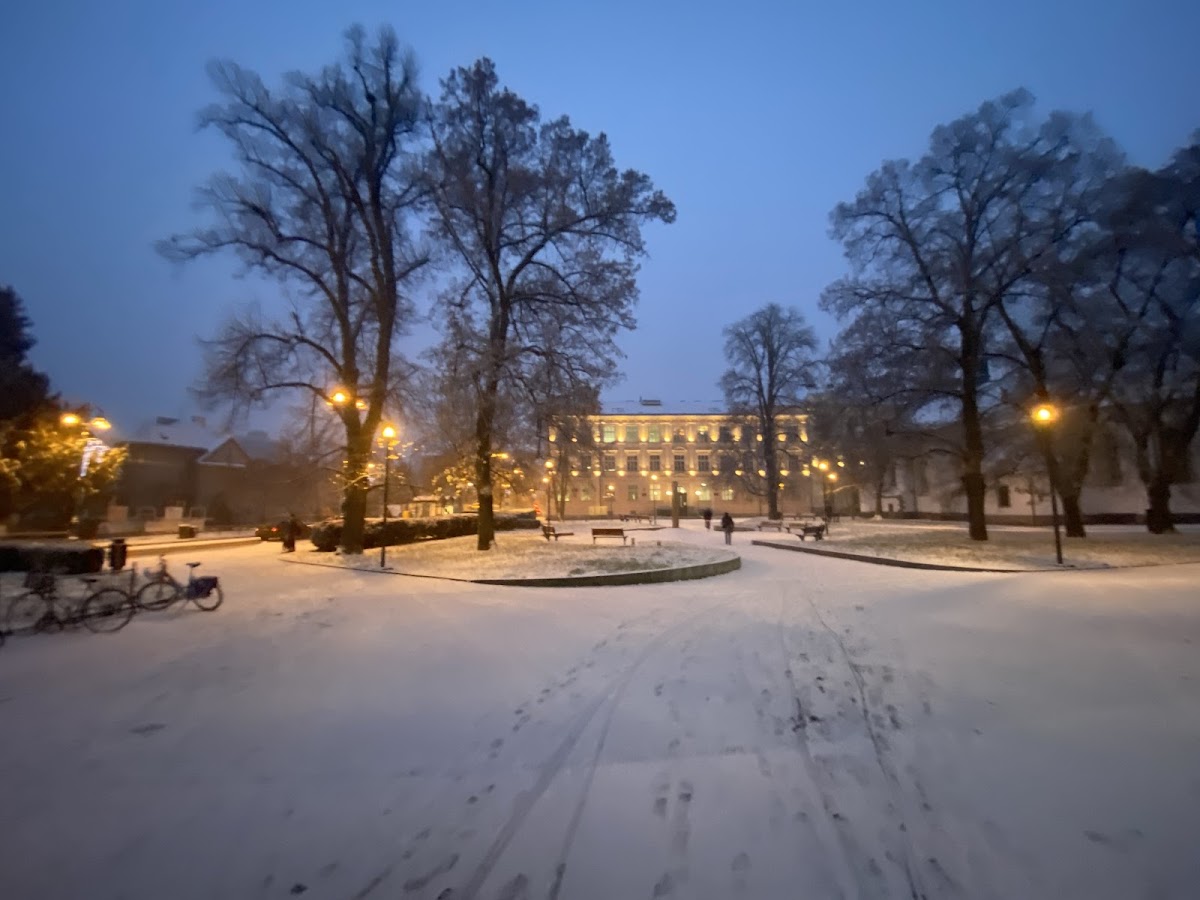 Pardubice, Krajský školský koordinátor prevence - foto 3