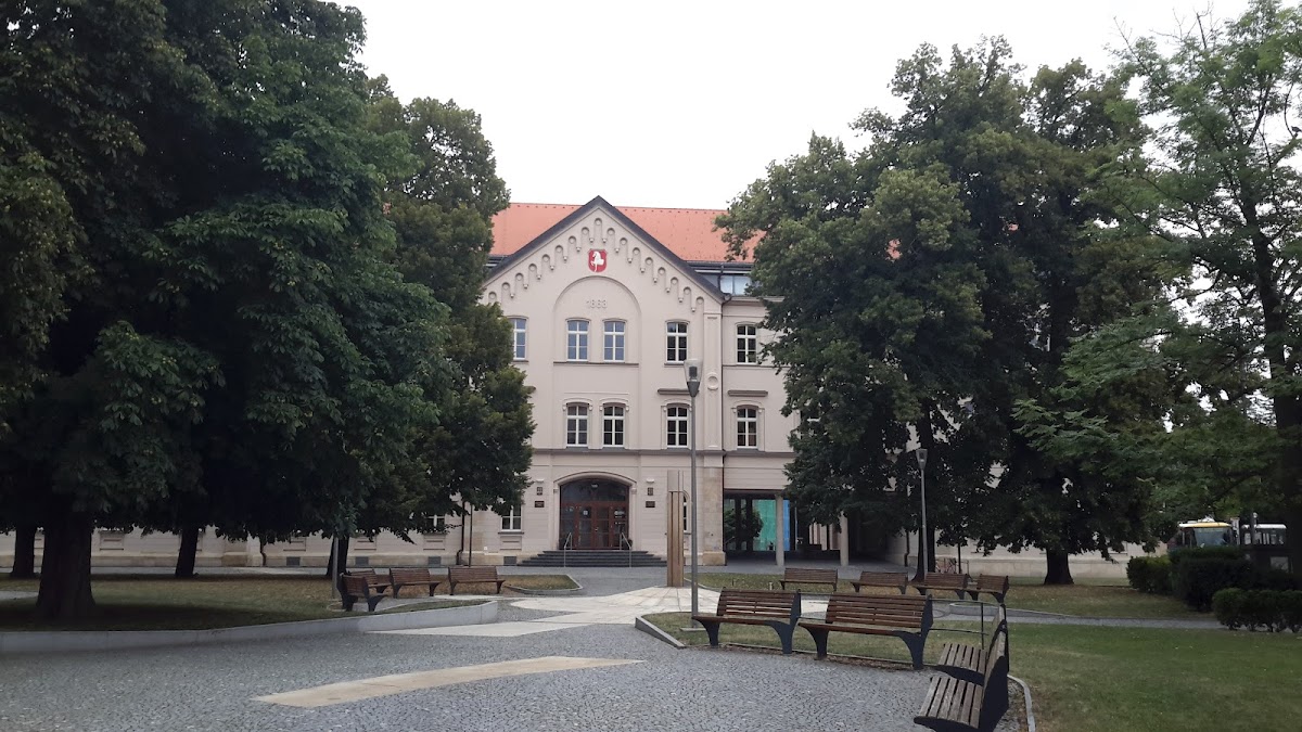 Pardubice, Krajský školský koordinátor prevence - foto 9