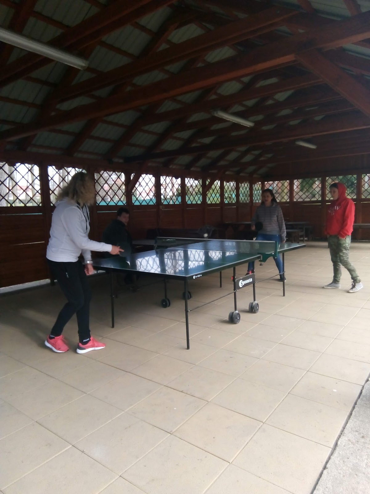 PATEB s.r.o., Psychiatrická léčebna Jemnice - foto 7