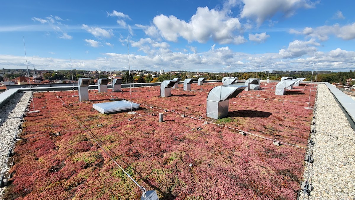 Pelhřimov, Dětské oddělení - foto 5