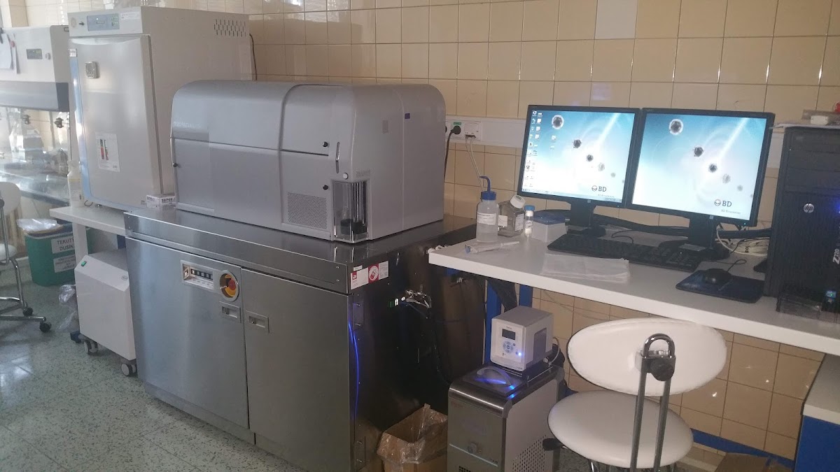 Plzeň, Ordinace pro poruchy metabolismu a odvykání kouření - foto 8