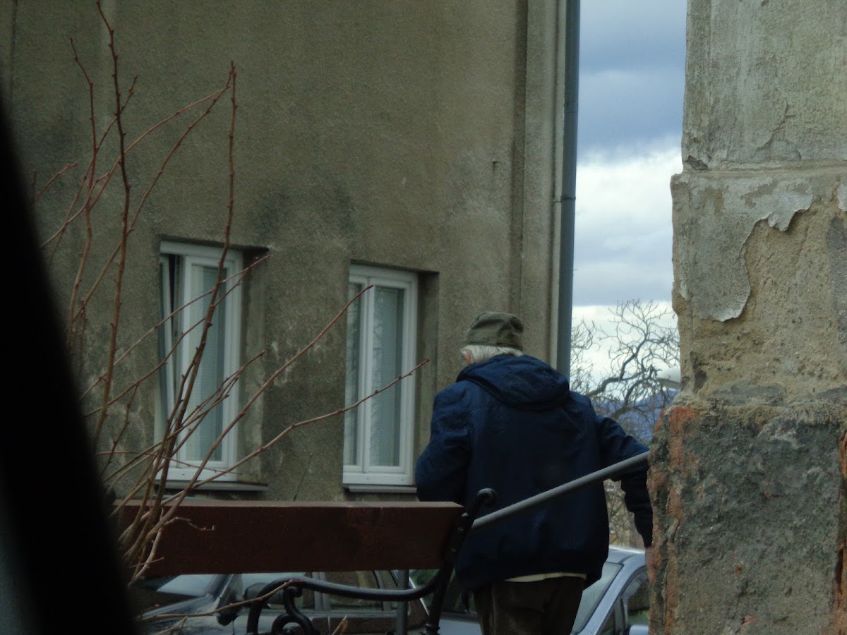 Podbořany, Místní protidrogový koordinátor - foto 10