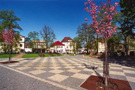 Podbořany, Místní protidrogový koordinátor - foto 2