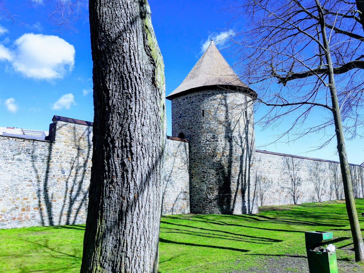 Polička, Místní protidrogový koordinátor - foto 4