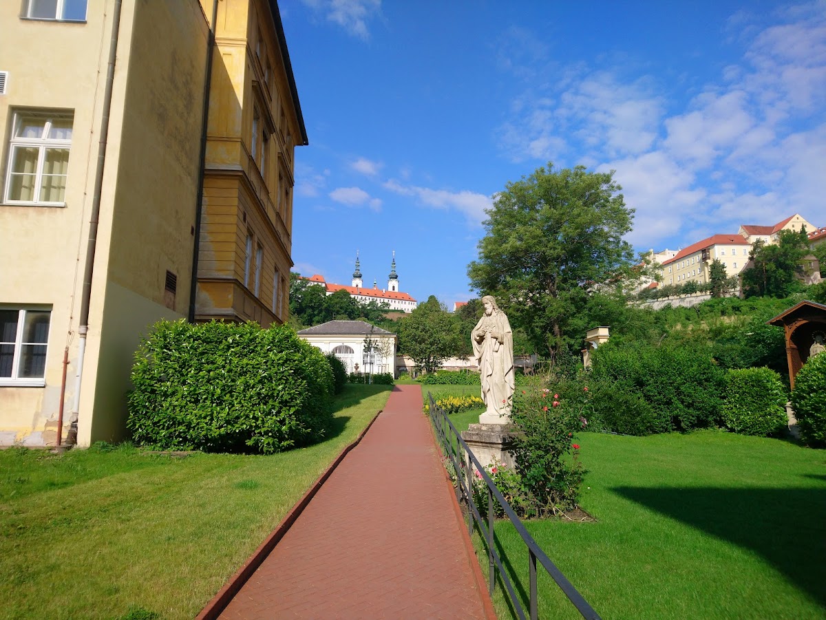 Praha 1, Dětské a dorostové detoxifikační centrum, Nemocnice Milosrdných sester K. Boromejského (Pod Petřínem) - foto 5