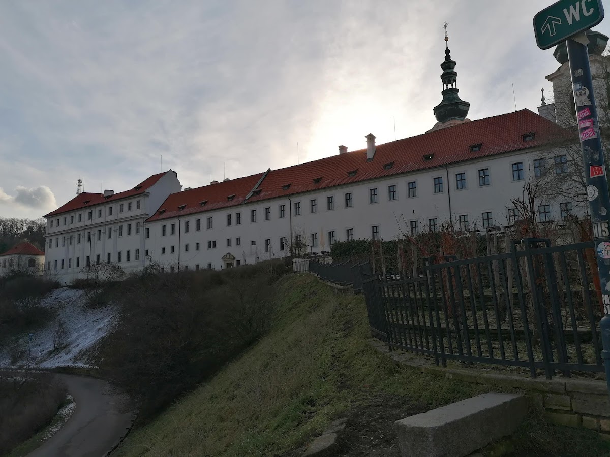 Praha 1, Dětské a dorostové detoxifikační centrum, Nemocnice Milosrdných sester K. Boromejského (Pod Petřínem) - foto 7