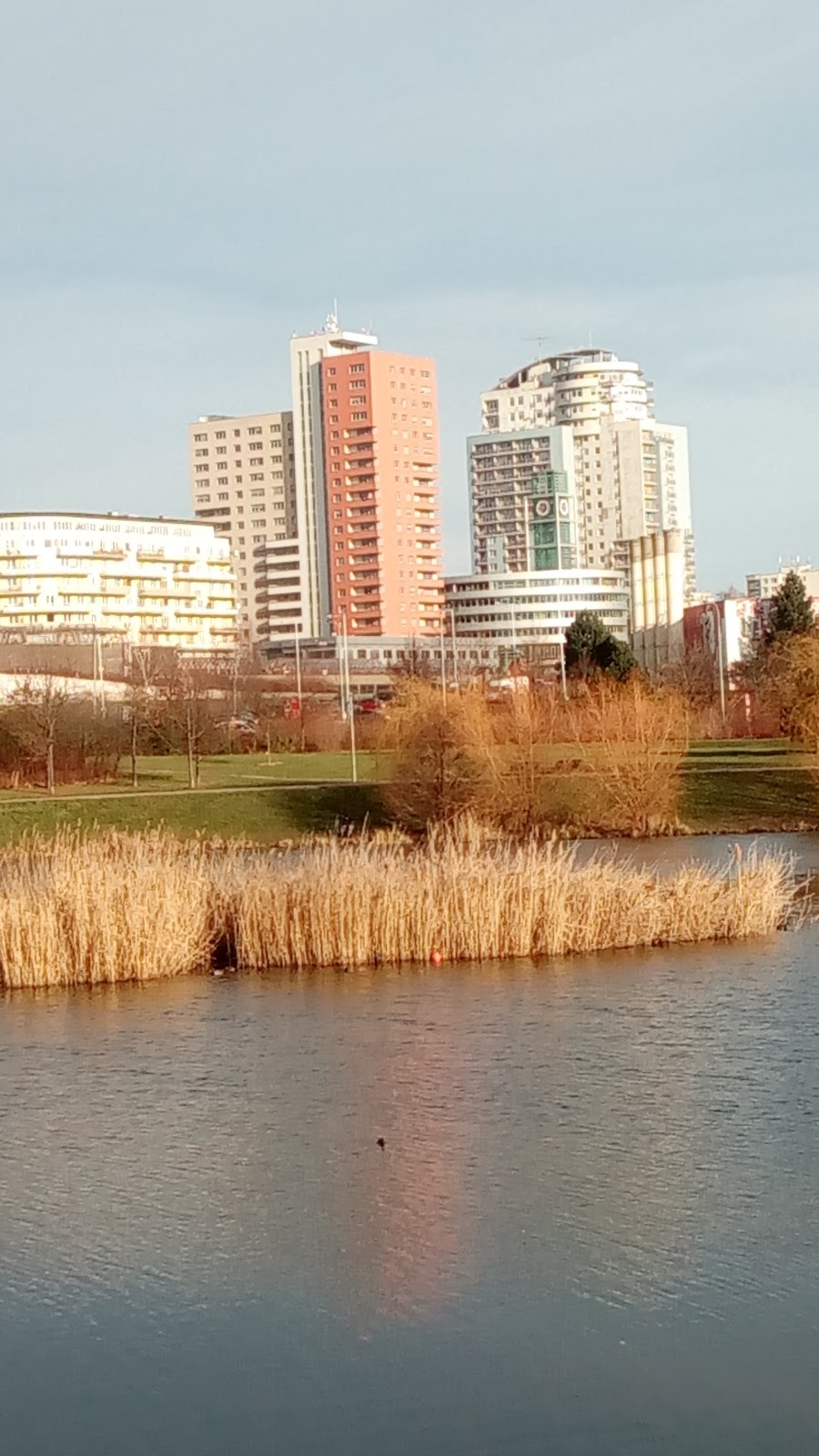 Praha 13 - Stodůlky, Místní protidrogový koordinátor - foto 9