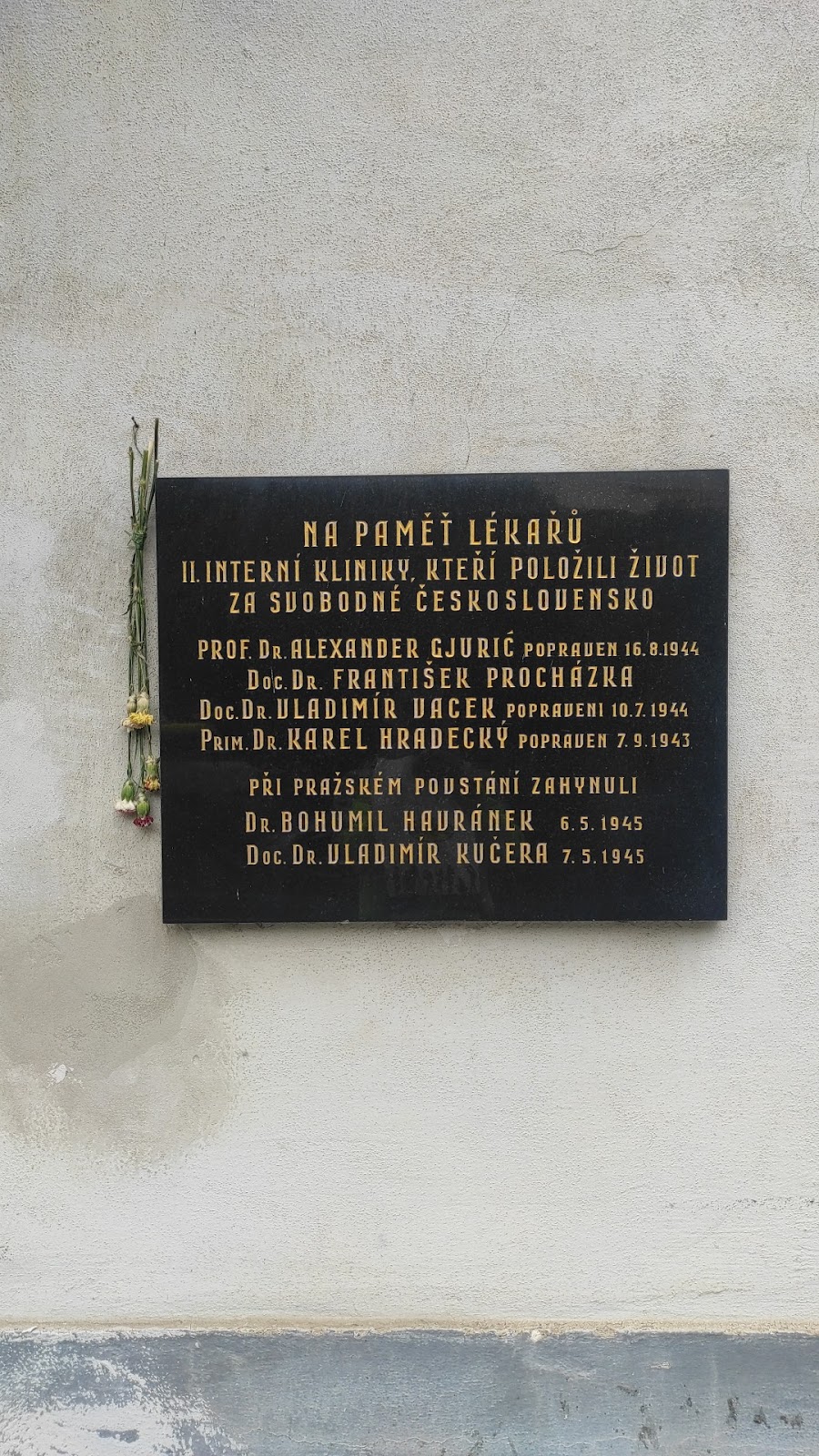 Praha 2, Interní ambulance - foto 5