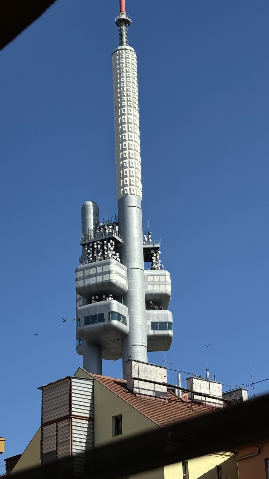 Praha 3, Ambulanční centrum pro choroby plicní - foto 4
