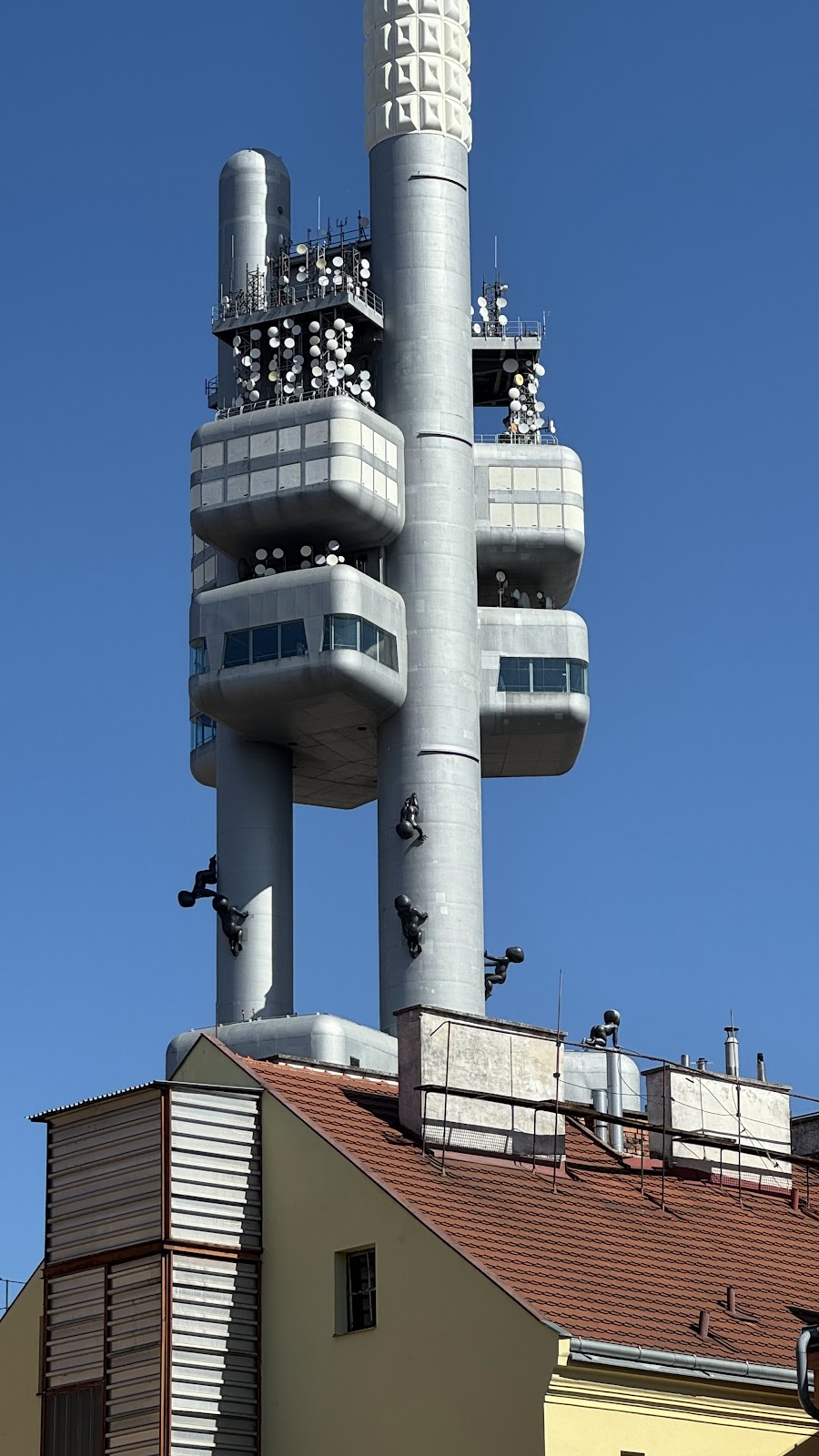Praha 3, Ambulanční centrum pro choroby plicní - foto 9