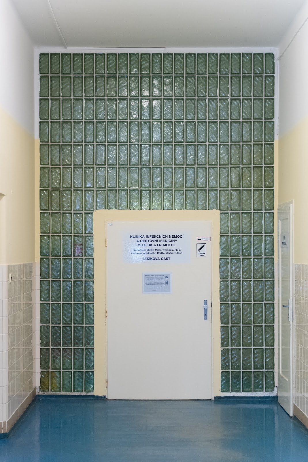 Praha 5, Centrum pro léčbu virových hepatitid při Infekčním oddělení Fakultní nemocnice Motol - foto 4