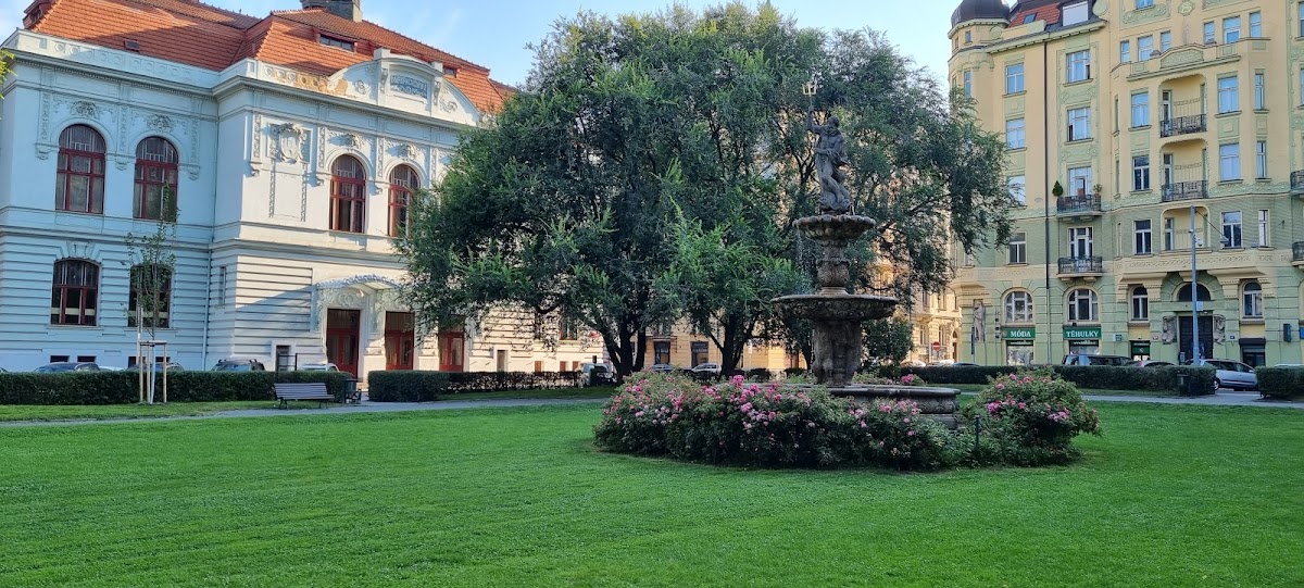 Praha 5, krajský protidrogový koordinátor Středočeského kraje - foto 7