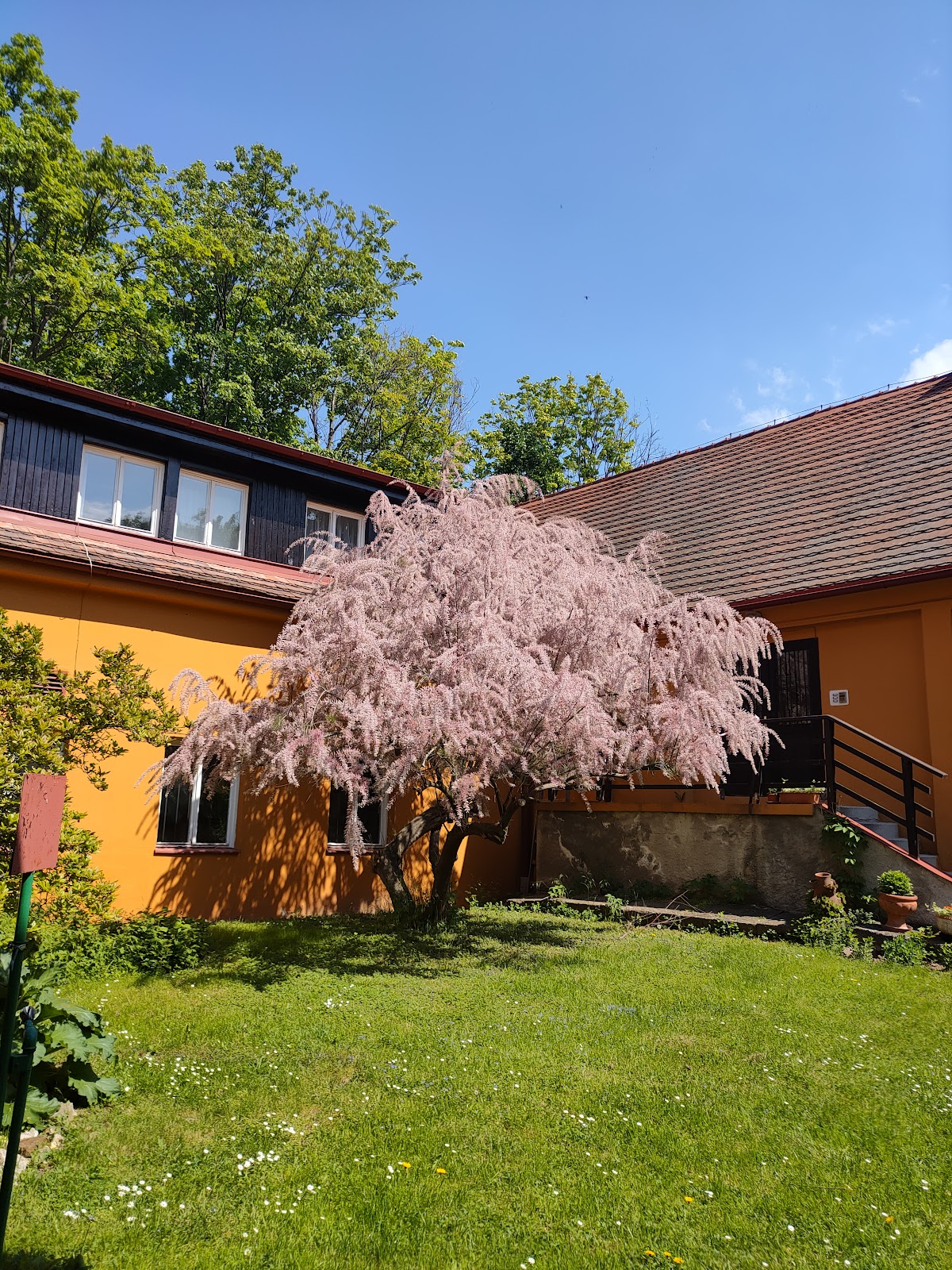 Praha 6, Denní sanatorium - foto 3