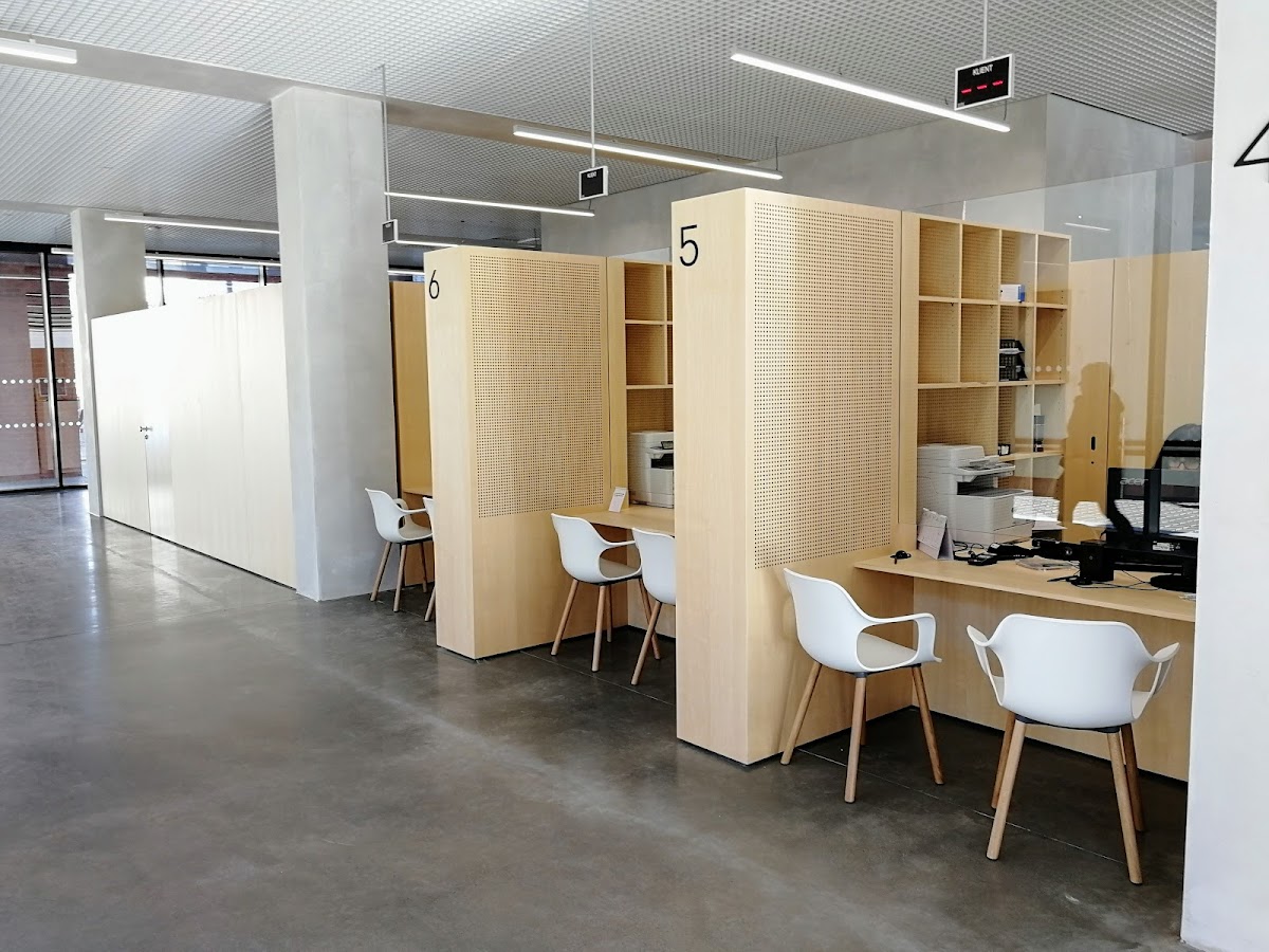 Praha 7, Místní protidrogový koordinátor - foto 2