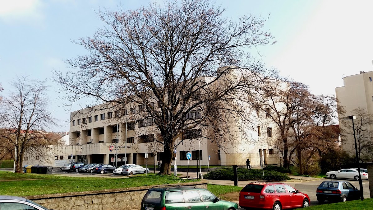 Praha 8, Místní protidrogový koordinátor - foto 10