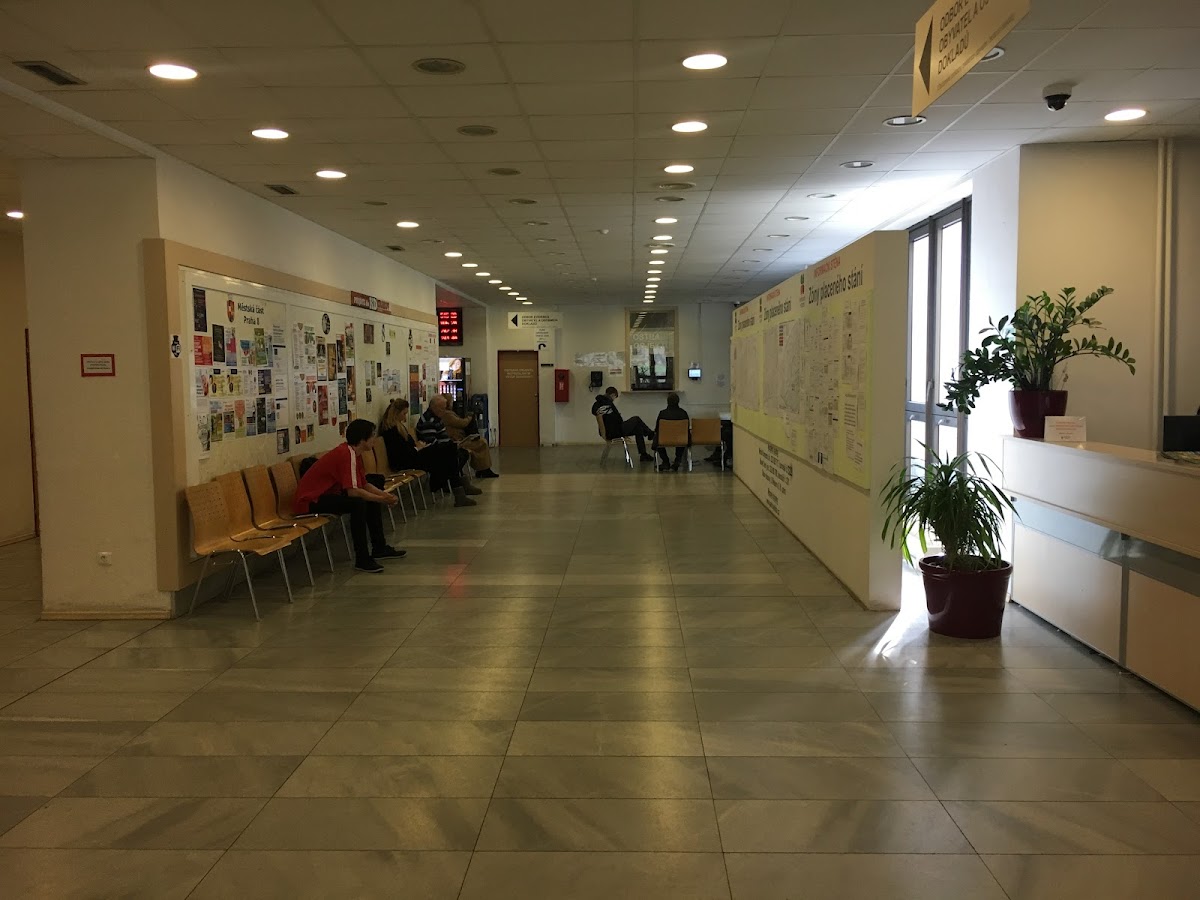 Praha 8, Místní protidrogový koordinátor - foto 2