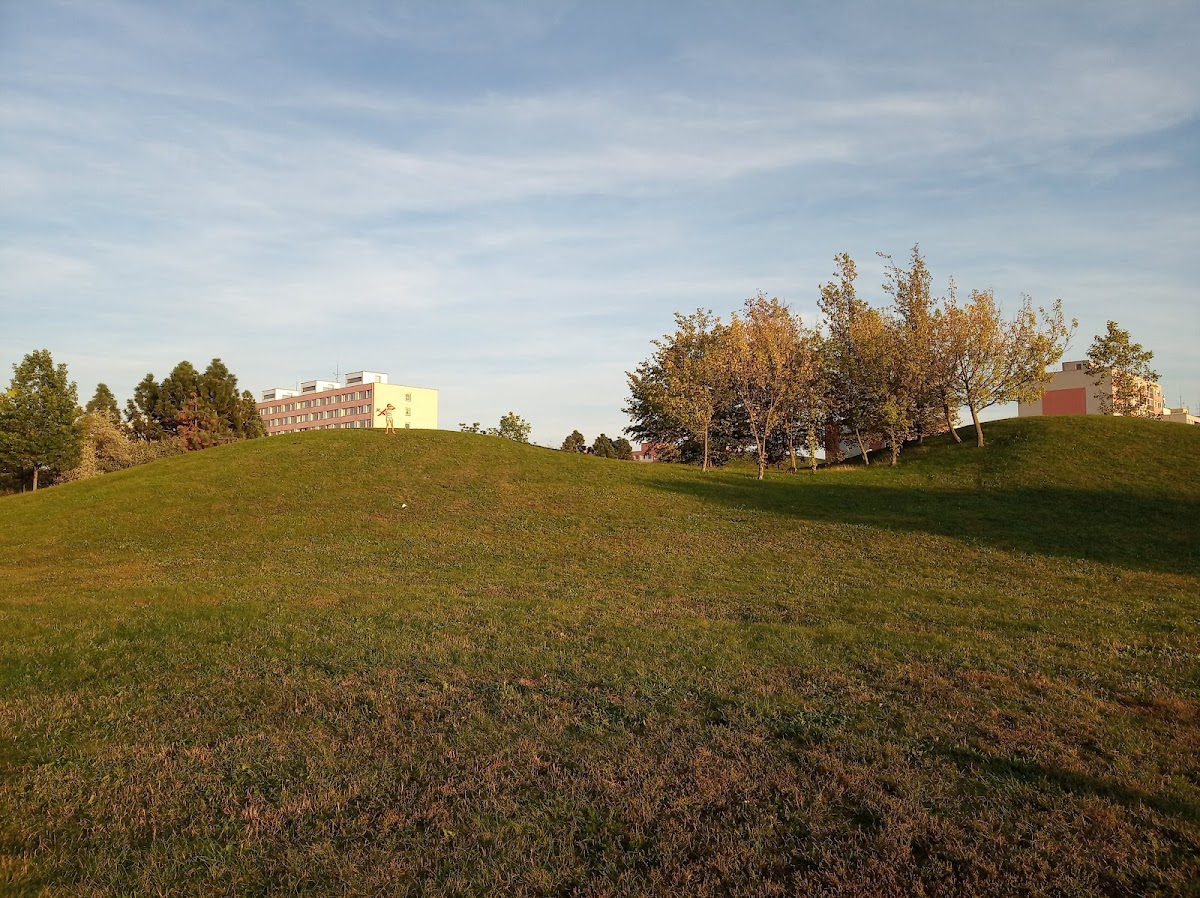 Prahu 11- 4, Komunitní tým - foto 6