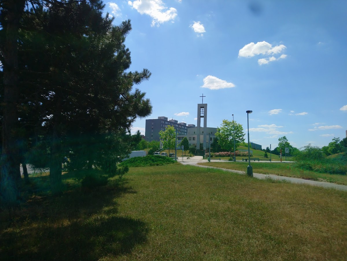 Prahu 11- 4, Komunitní tým - foto 9