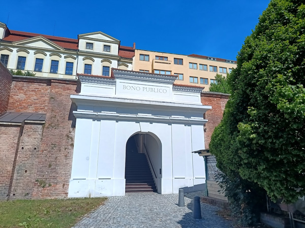 PRO BONO PUBLICO o.p.s. - Hradec Králové-Hradec Králové 3