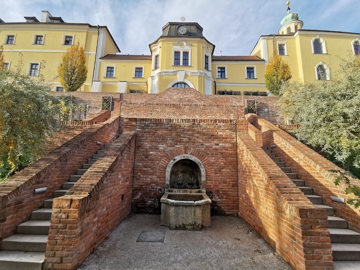 PRO BONO PUBLICO o.p.s. - foto 5