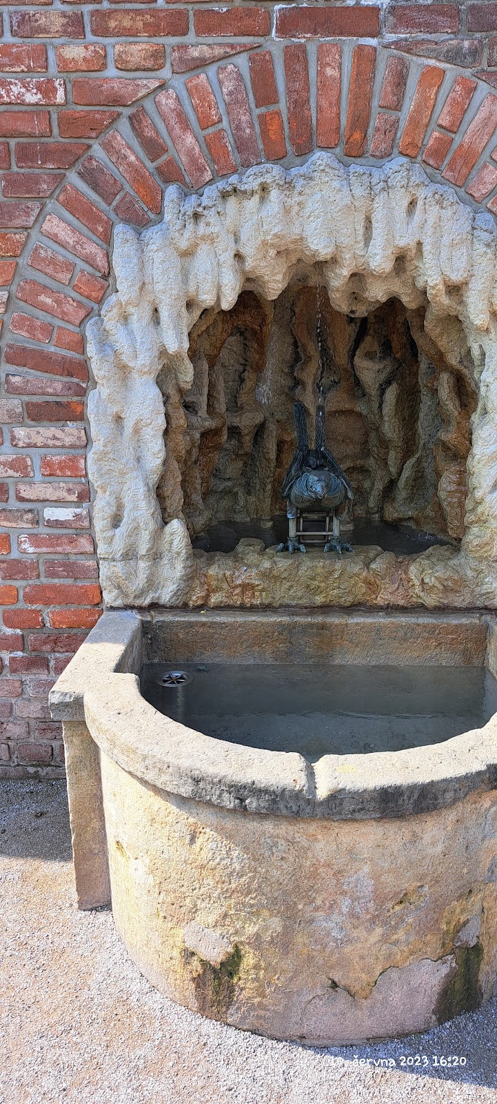 PRO BONO PUBLICO o.p.s. - foto 7