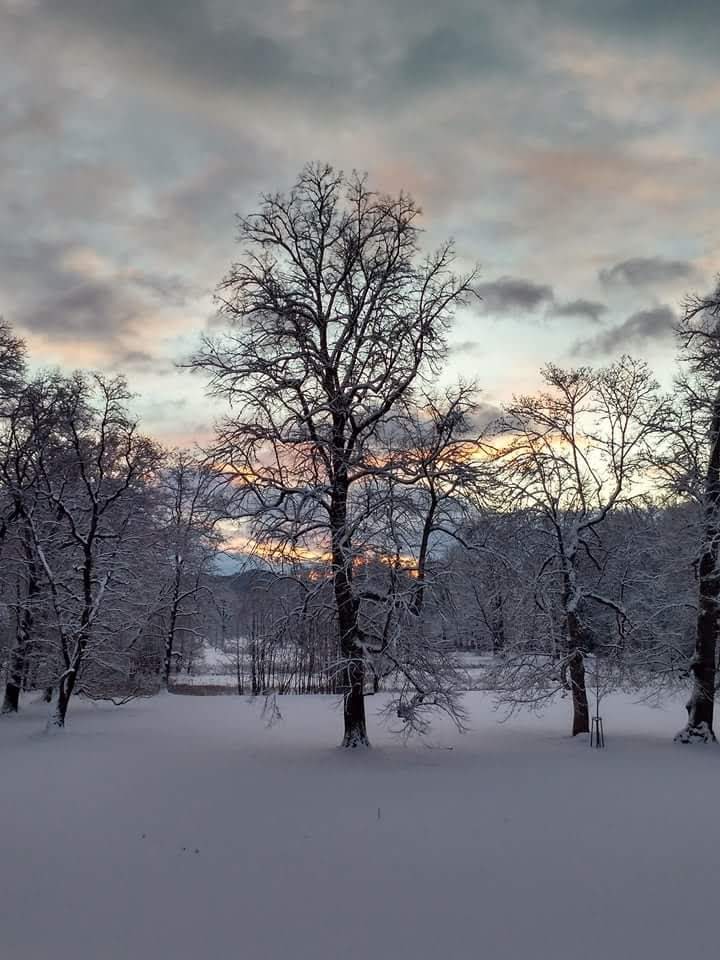Psychiatrická léčebna Červený Dvůr - foto 3