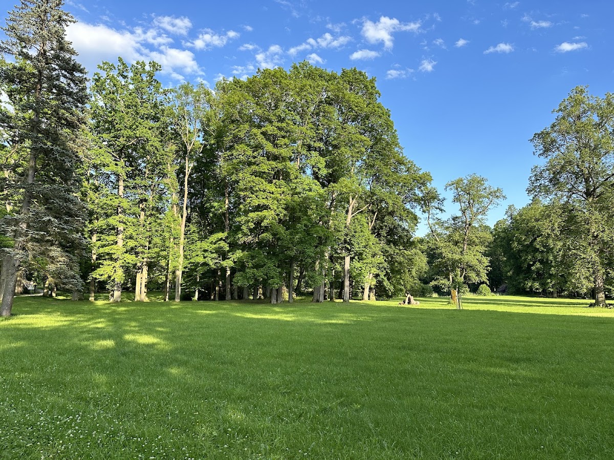 Psychiatrická léčebna Červený Dvůr - foto 5