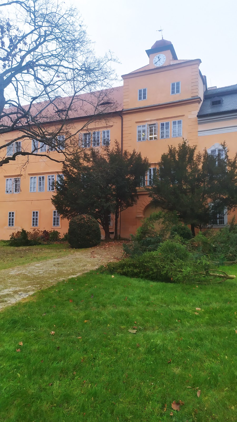 Psychiatrická léčebna Petrohrad, p.o., ambulance - foto 3