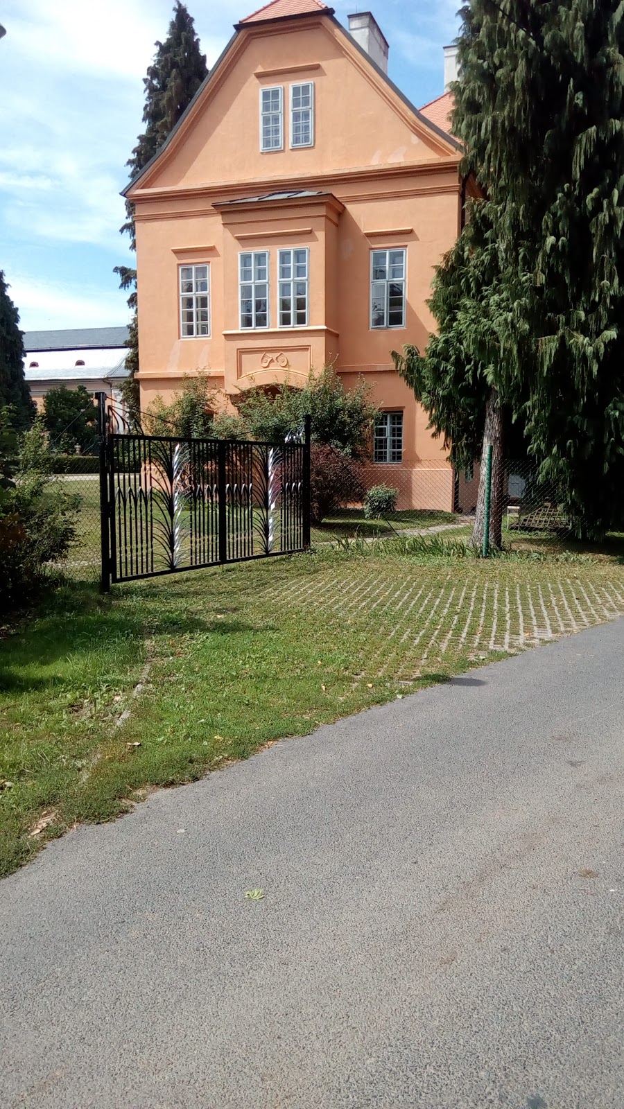 Psychiatrická léčebna Petrohrad, p.o., ambulance - foto 8