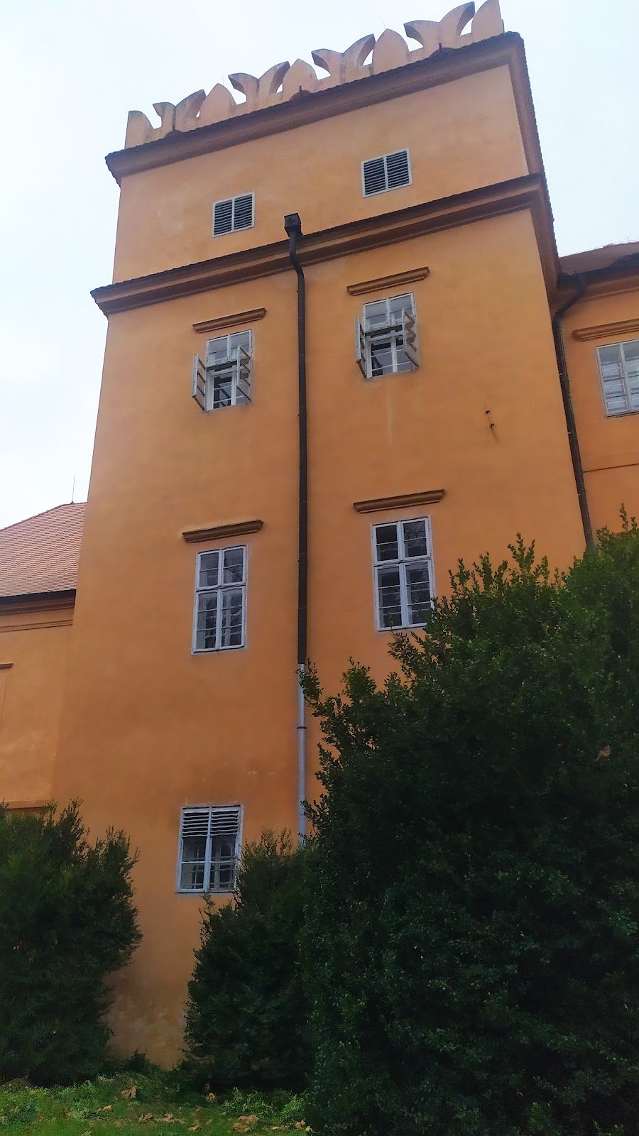 Psychiatrická léčebna Petrohrad, p.o., ambulance - foto 9