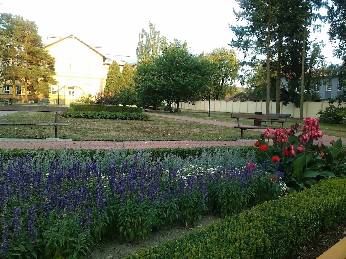 Psychiatrická léčebna Šternberk - foto 8