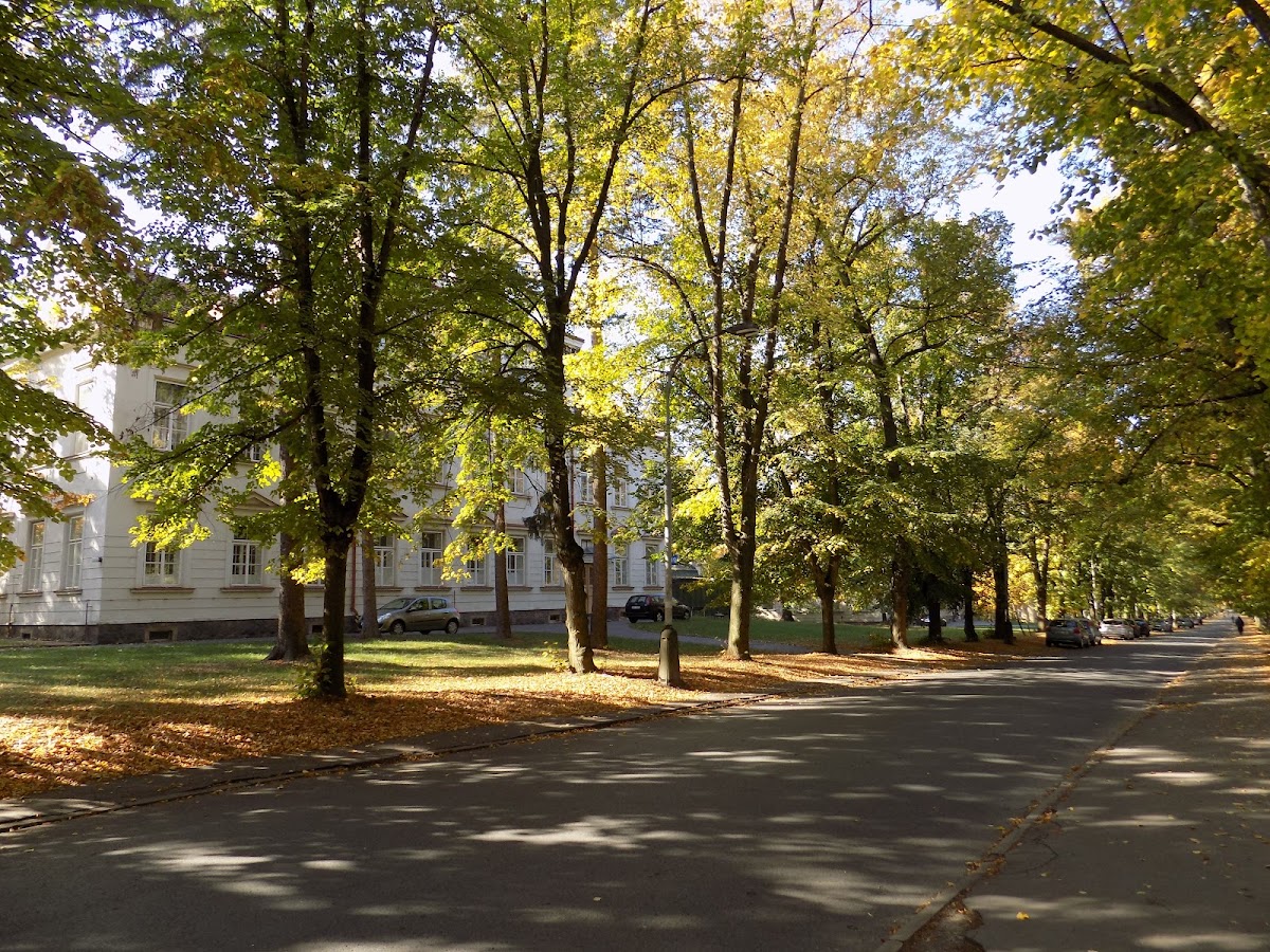 Psychiatrická nemocnice Bohnice - foto 9