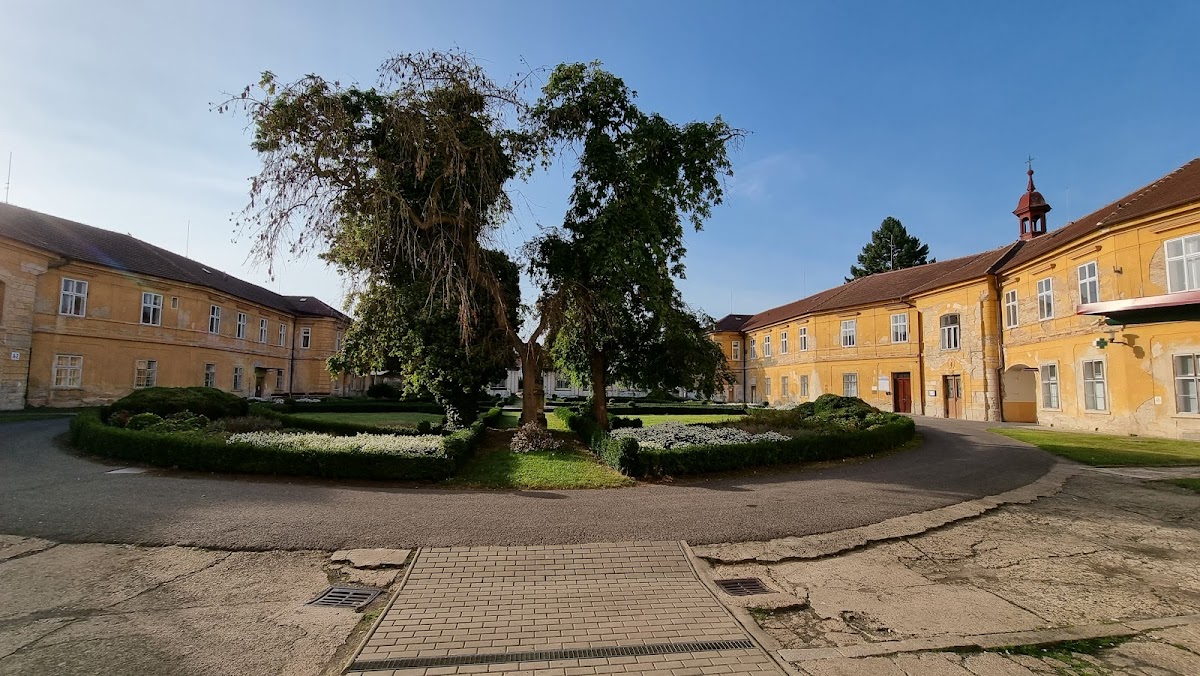 Psychiatrická nemocnice Horní Beřkovice - foto 2