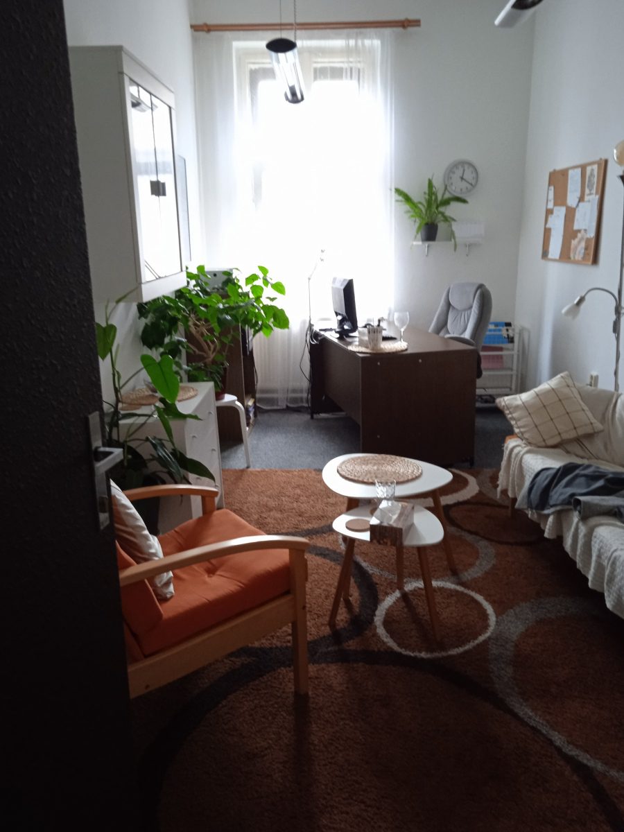 Rodinná psychologická poradna - foto 3