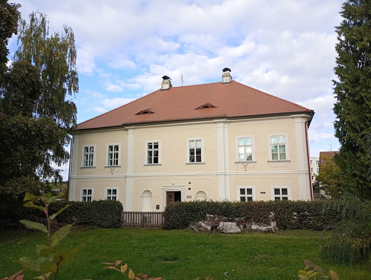 Rokycany, Místní protidrogový koordinátor - Rokycany